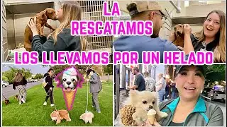 RESCATAMOS NUEVA BABY! MIS PERROS LA ACEPTARON?😱LOS LLEVAMOS POR HELADO🍦1er. SALIDA DE HEIDY+DISFRAS