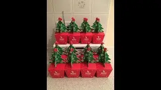 Christmas Tree Sweet Boxes!