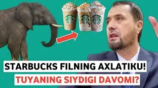 STARBUCKS  HAQIDA /ABROR MUXTOR ALIY