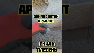 Опилкобетон арболит, гниль плесень, лютым ненавистникам #опилкобетон #арболит #дом  #загородныйдом