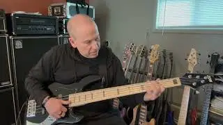 Zon Mosaic Mojo 5-string Bass Guitar (2021)