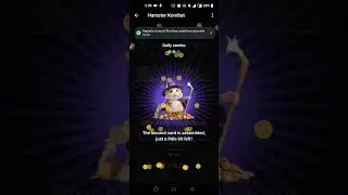 hamster kombat today combo cards | 6 june hamster kombat today combo cards | hamster combo today