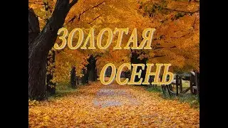 ОЧЕНЬ КРАСИВОЕ ВИДЕО  ЗОЛОТАЯ ОСЕНЬ