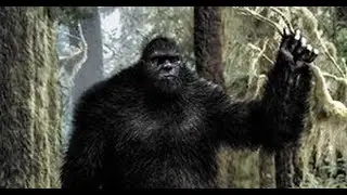 The BigFoot Mystery | برفانی انسان یا بگ فٹ کے بارے میں سائنس دانوں کے حیران کن انکشافات