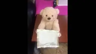 Интерактивный Мишка ПИКАБУ