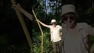 сорняк повержен!🌾 