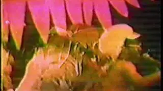 Flash Light (Part 1)- D.C. 1979