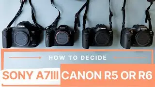 Sony A7iii, Canon EOS R5 or R6 - MY user experience NO ONE has shared
