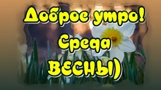 3 апреля Первая Весенняя Среда🌷Доброе Утро😁Прекрасного, Удачного  Дня 🎶Красивая музыкальная ОТКРЫТКА