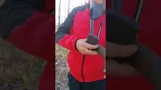 Ребенок нашёл много монет