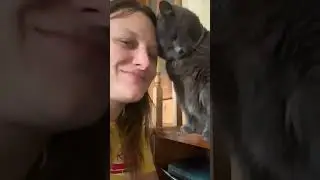 Human & Cat