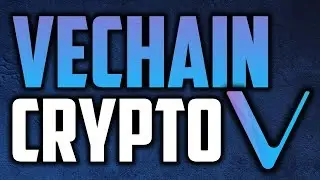 Vechain (VEN) Cryptocurrency Review | Should You Invest In It?