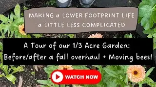 A Tour of our 1/3 Acre Garden: Before/after a fall overhaul + Moving bees!