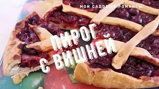 Мои садовые романсы. Зима.Домашний пирог с вишней.Самое время печь пироги!