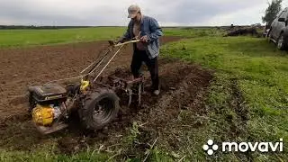Будь они не ладны, эти ёжики...для Кутаиси Супер 610