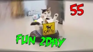 Fun 2Day #55 подборка приколов COUB