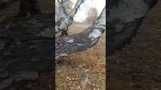 21 декабря 2023 г.