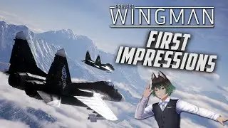 Project Wingman - Campaign First Impressions Gameplay!