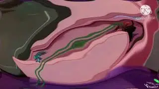 Tom And Jerry: Jerry And Nibbles Playing Scene Center Effects Opposite Center Effects