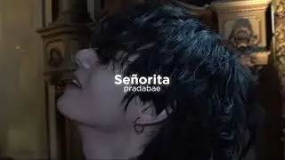 Señorita ~ Shawn Mendes (solo version) ~ slowed down