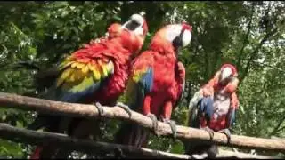 Copán Ruinas, Honduras