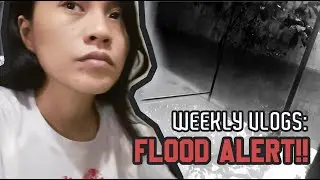 WEEKLY VLOGS: FLOOD ALERT!