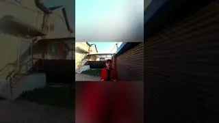 Хотите завести вторую собаку?