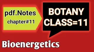 Bioenergetics/chapter 11/botany class 11/pdf notes/best for examination /sindh text book/HSC-1