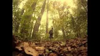 Short Trip # 7
