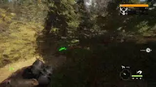 Hunter: call of the wild / Live