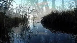 Felicia Falck - I am (Official Video)