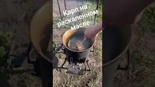 Дядя Дима, ты много пропустил! А я в это время на рыбалке:)