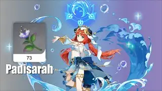 73 Padisarah Locations (Route) Sumeru Genshin Impact
