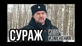 СУРАЖ / ФОК / ПАМЯТНИКИ / ВЛАСТЬ