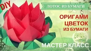 Лотос из бумаги. Оригами цветок из бумаги  - Creative DIY Projects