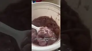 #ginataangbilobilo