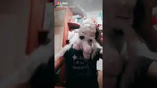 Порвала самый первый криН. Ж