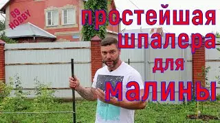 ОДНОПЛОСКОСТНАЯ шпалера для малины! Самый простой вариант!