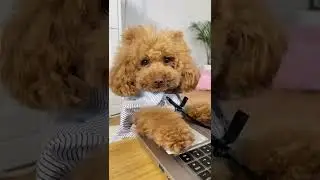 Когда начальник вышел из кабинета