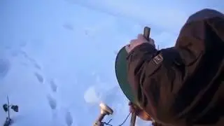 спутниковая тарелка из ведра