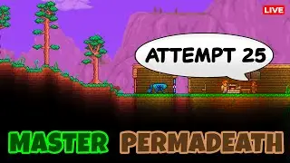 🟢NO SLIME DEATHS TODAY🟢Perfect DAY!🟢Terraria Permadeath Challenge🟢