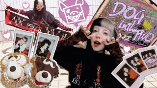 Two-day V系 live weekend in Yokohama ! ✦ DOG inThePWO ✦