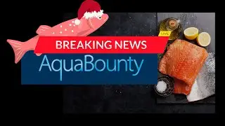AquaBounty Insider Trading and Ark Invest (AQB) Updates