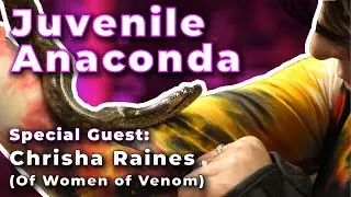 Juvenile Anaconda with Special Guest: Chrisha Raines (Women of Venom)