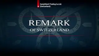 Швейцарские мужские часы Remark GR 507