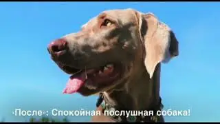 ДО и ПОСЛЕ = Результаты учеников Ш.А.Н. (Часть 1)