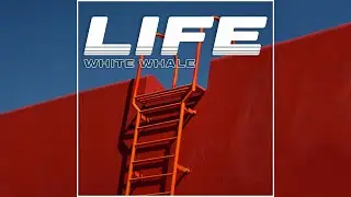 White Whale - Life