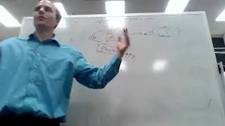 Q3 - MGen - TA - Cell division and CDKs