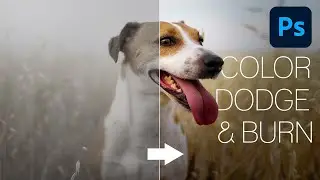 Mejora CONTRASTE y SATURACION en PHOTOSHOP | Color Dodge and Burn | Tutorial Photoshop