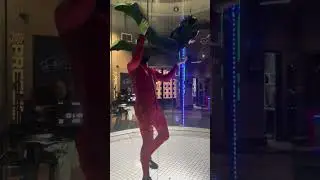 Family Nikolic Videos